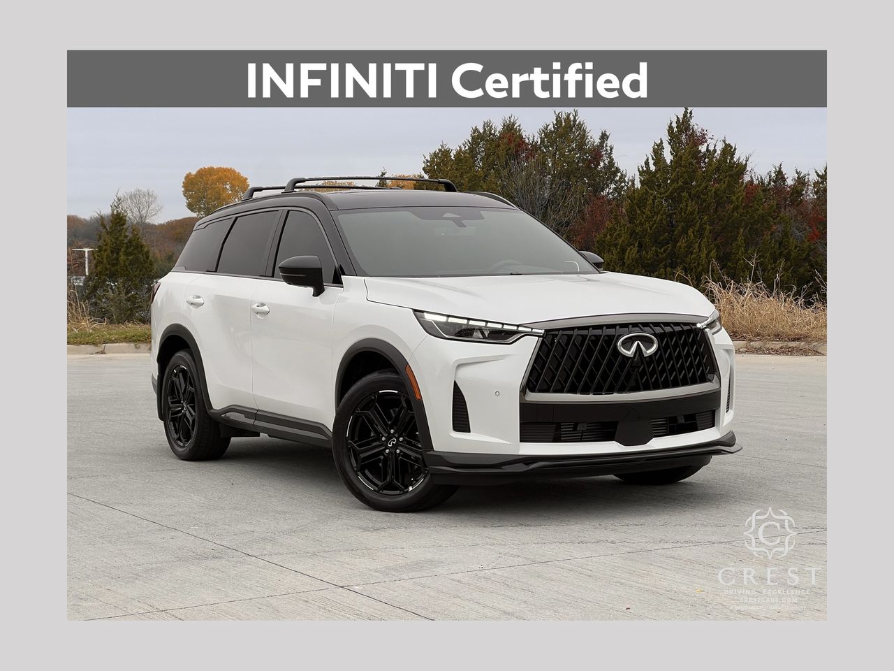 2026 INFINITI QX60 LUXE's photo