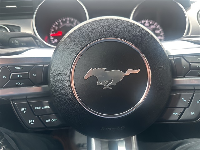 2022 Ford Mustang GT photo 18