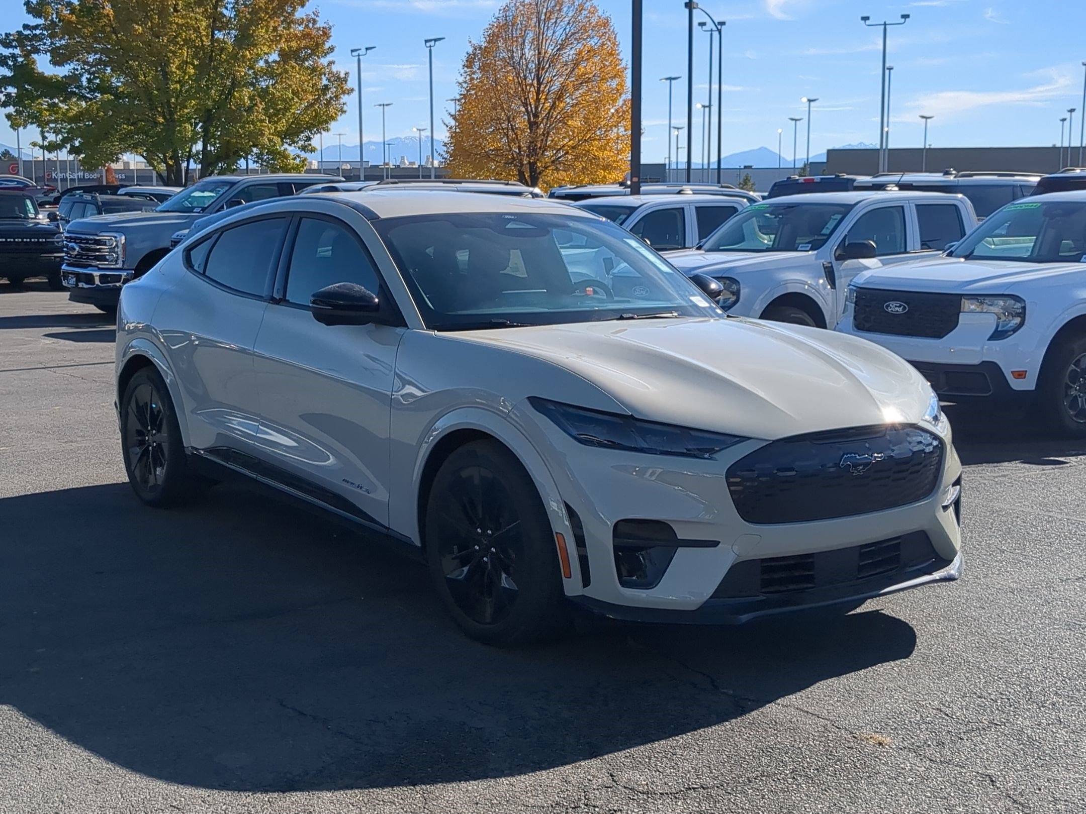 2025 Ford Mustang Mach-E GT AWD's photo