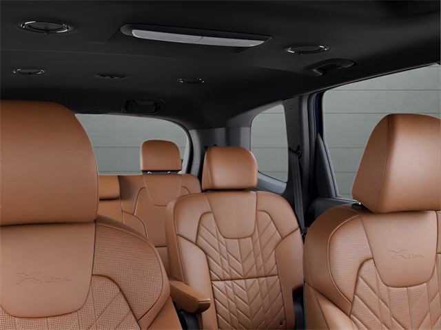 2025 Kia Telluride EX X-Line photo 14