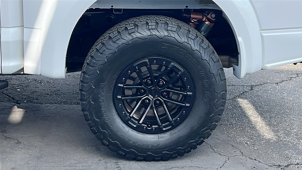 2019 Ford F-150 Raptor photo 6