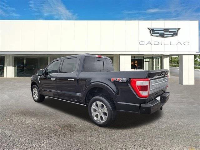 2023 Ford F-150 Platinum photo 2