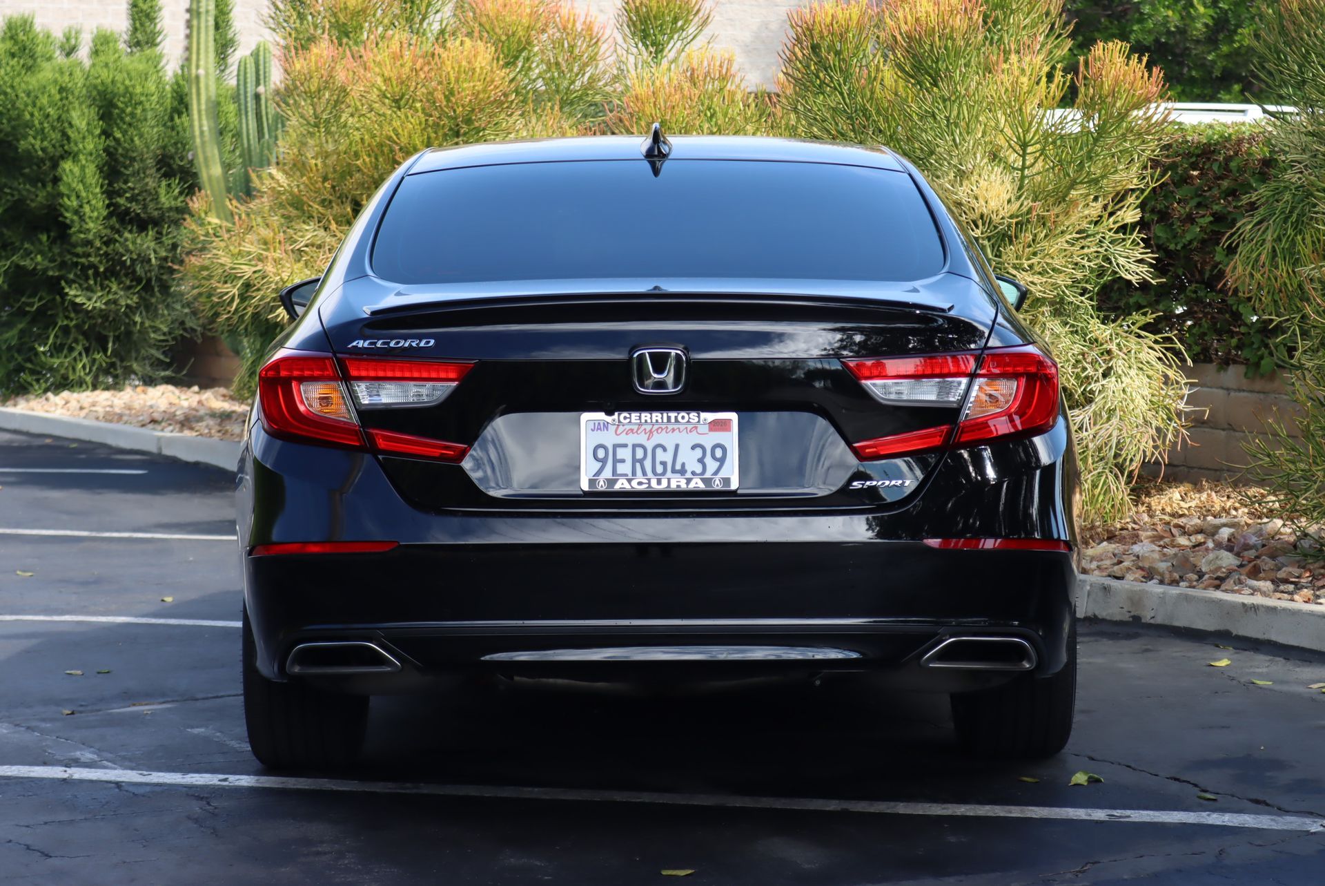 2022 Honda Accord Sport photo 4