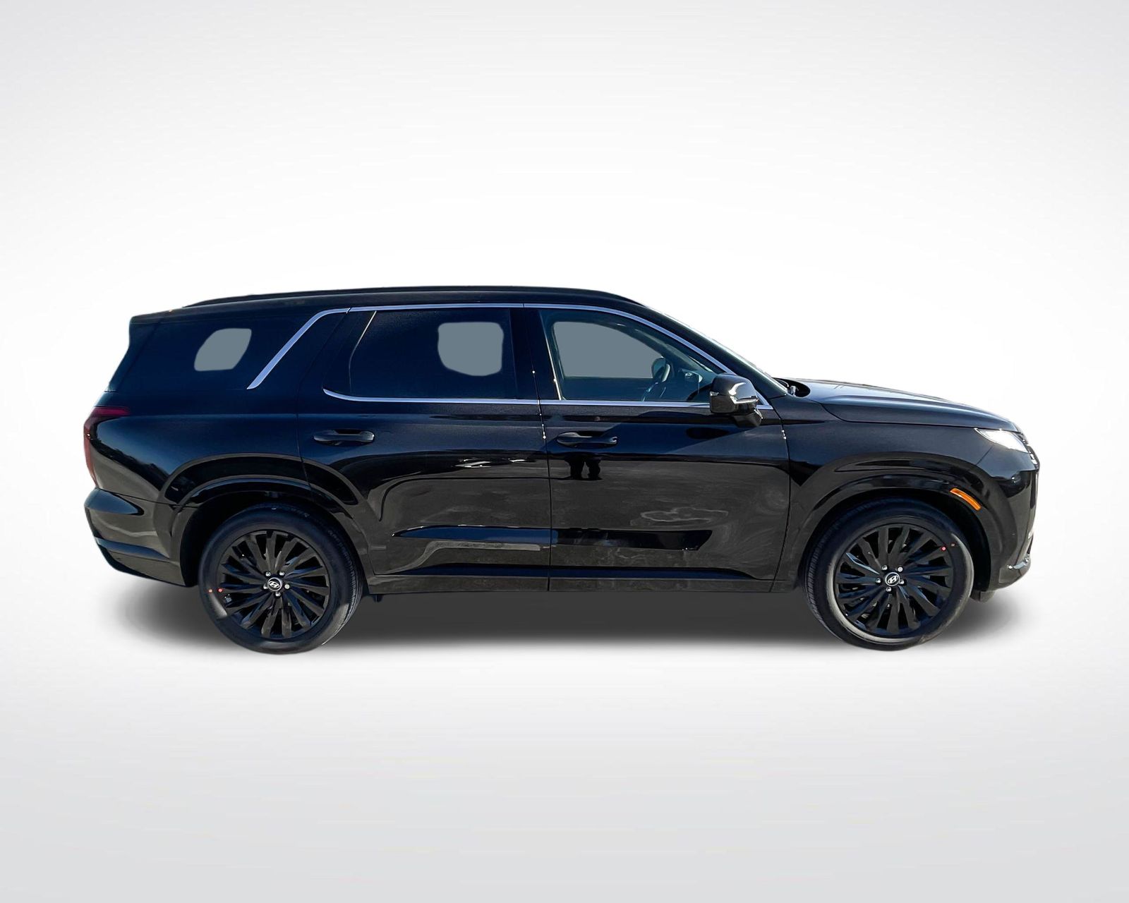 2025 Hyundai Palisade Calligraphy photo 4