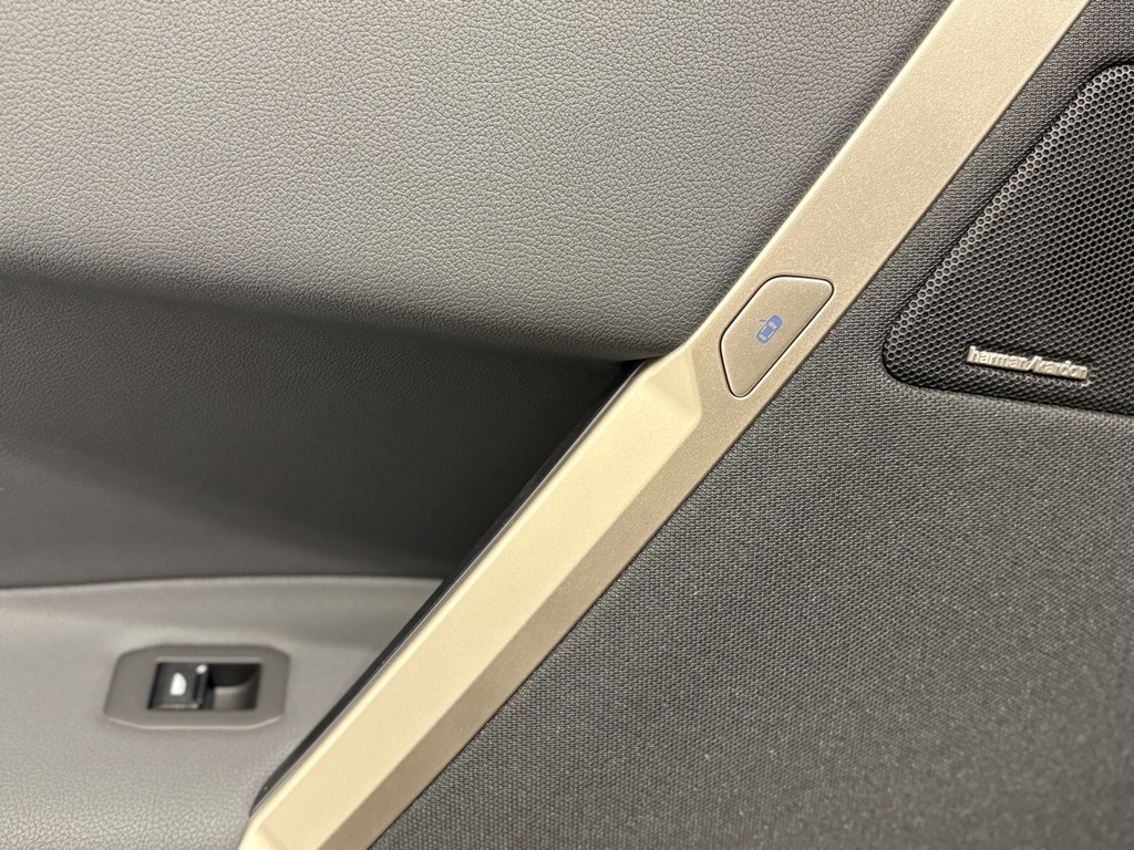 2025 Bmw iX photo 20