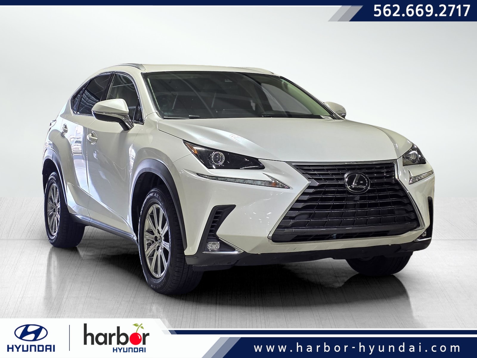 2020 Lexus NX 300's photo