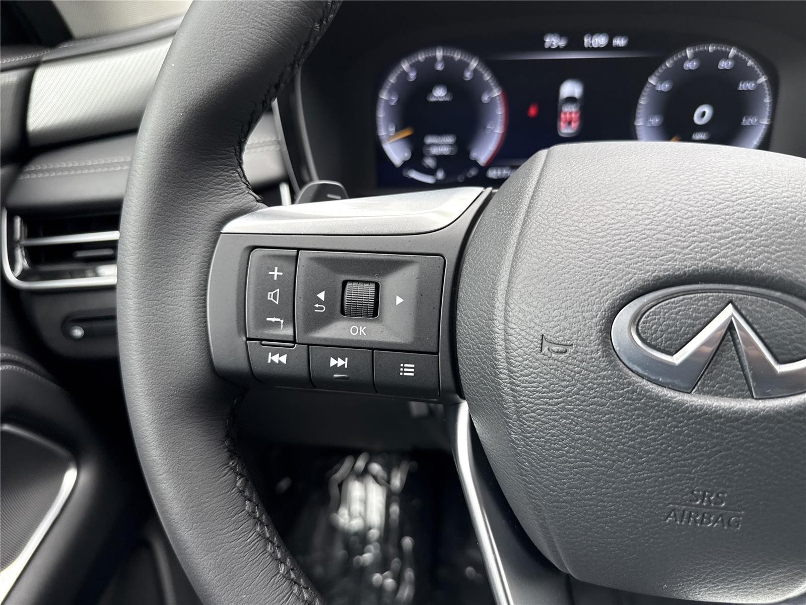 2025 Infiniti QX60 Luxe photo 13