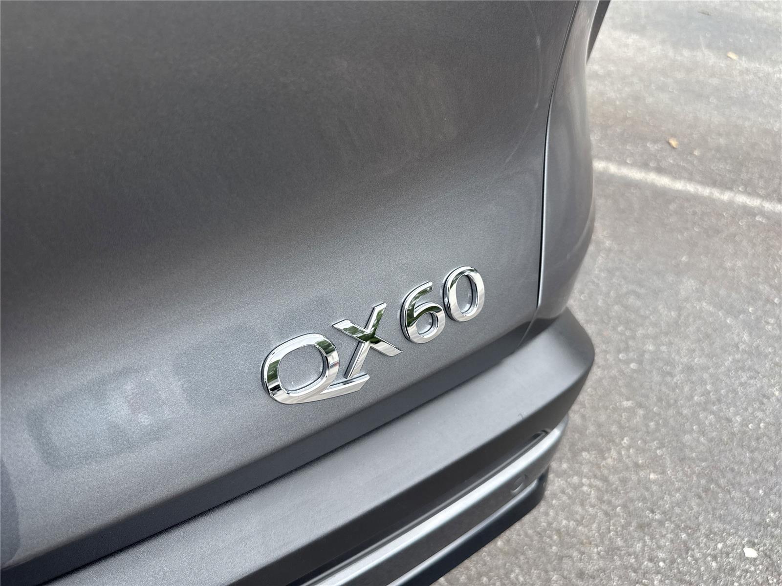 2025 Infiniti QX60 Luxe photo 7
