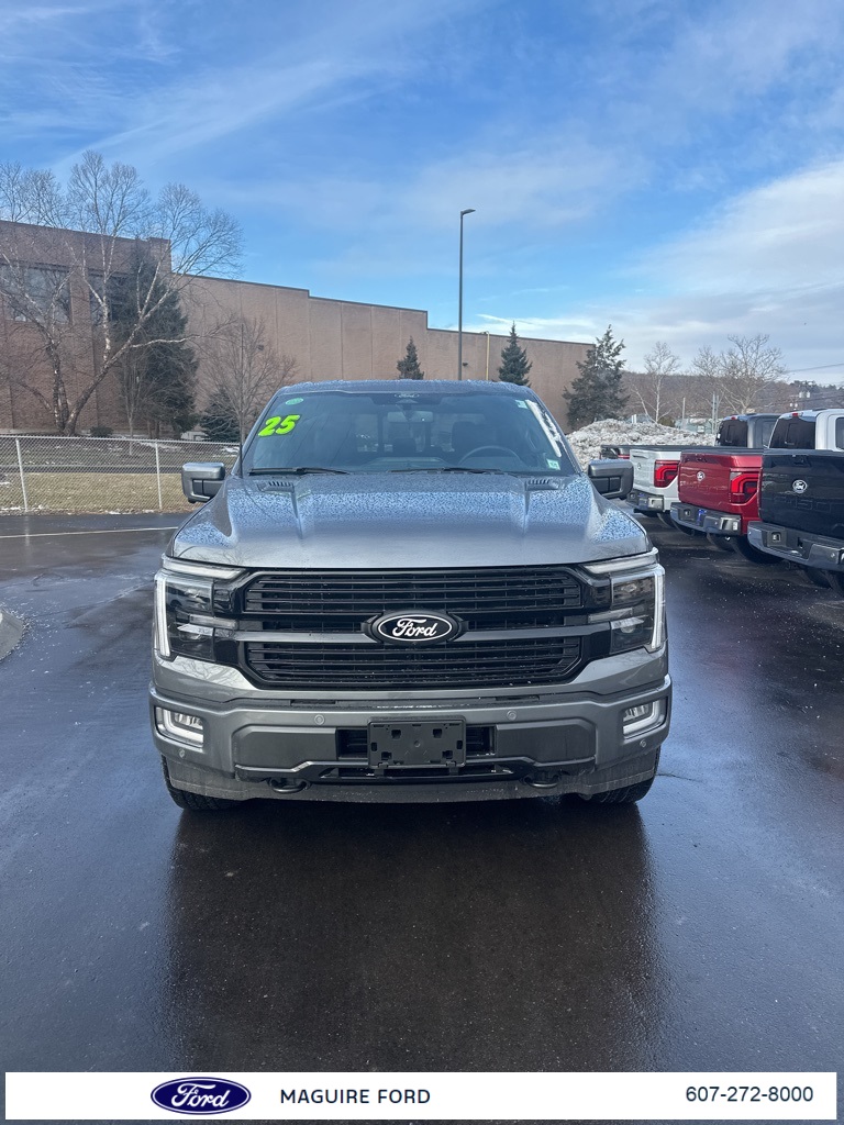 2025 Ford F-150 Platinum's photo