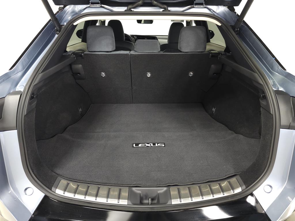 2024 Lexus RZ 300e photo 8