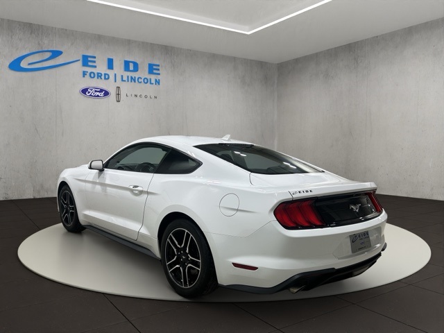 2023 Ford Mustang EcoBoost photo 4
