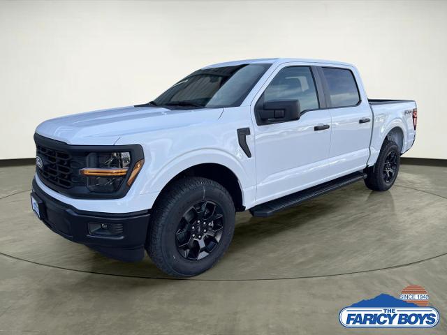 2025 Ford F-150 STX's photo