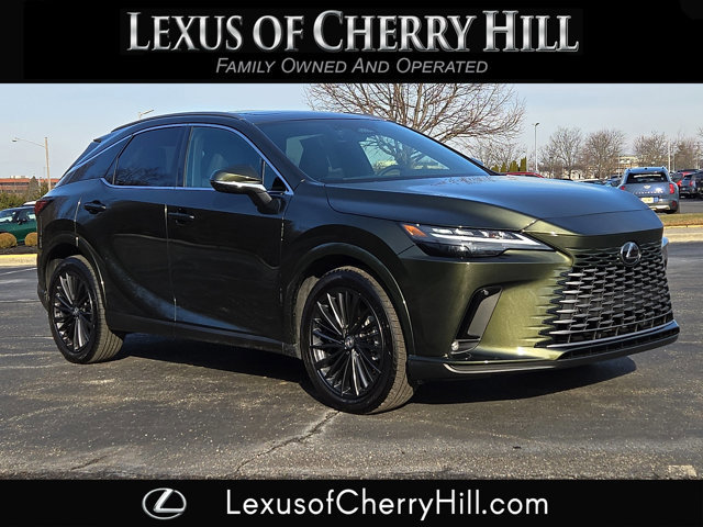 2025 Lexus RX 350's photo