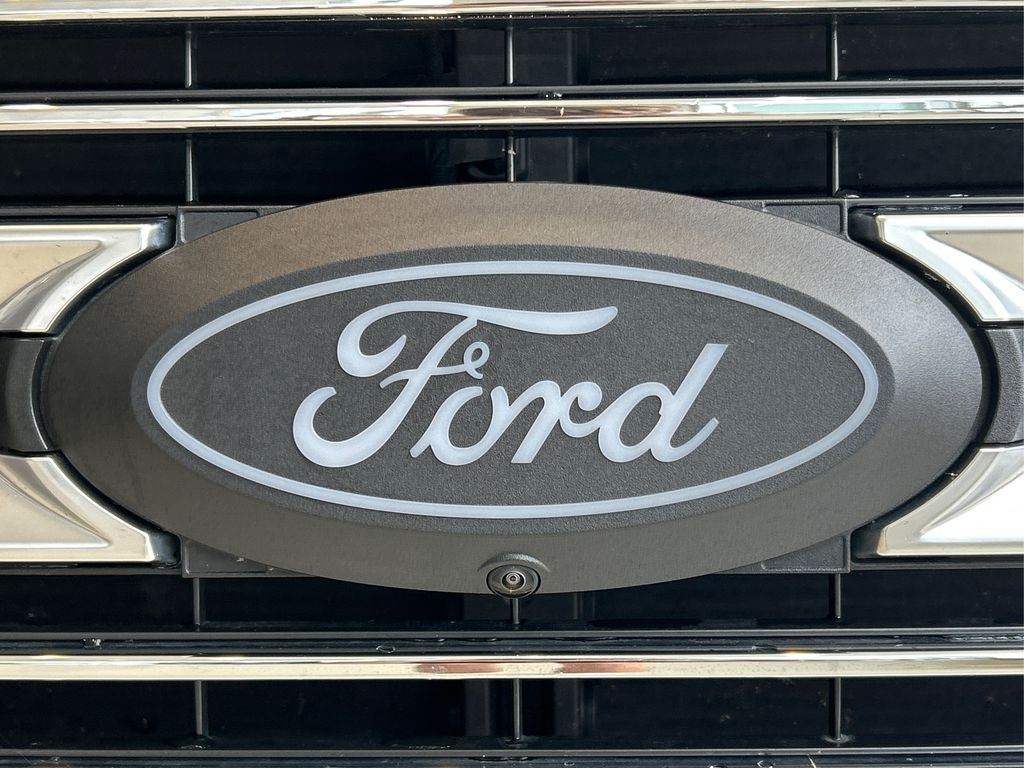 2024 Ford F-150 Platinum photo 14