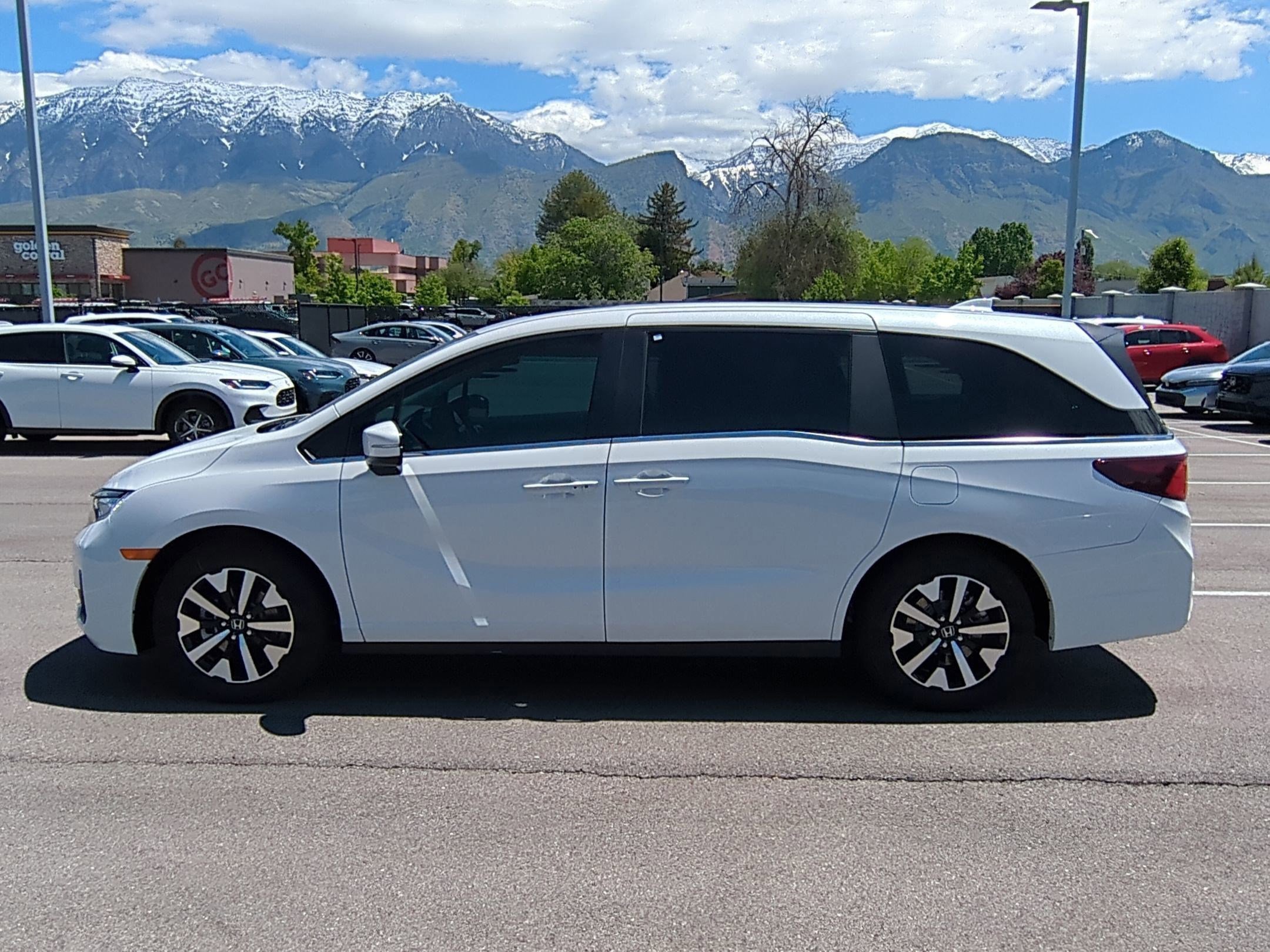 2026 Honda Odyssey EX-L photo 6