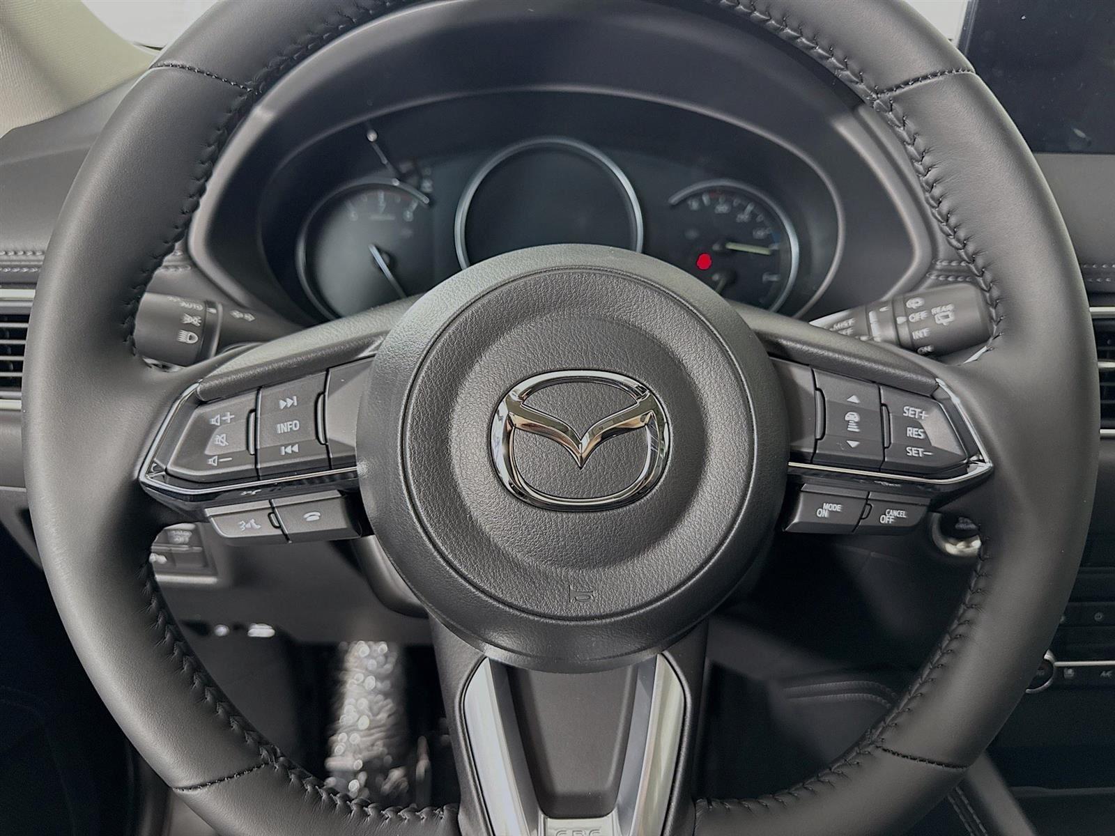 2025 Mazda CX-5 2.5 Premium Plus photo 15