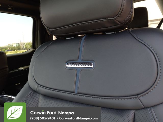 New 2025 Agate Black Metallic Ford Platinum image 14