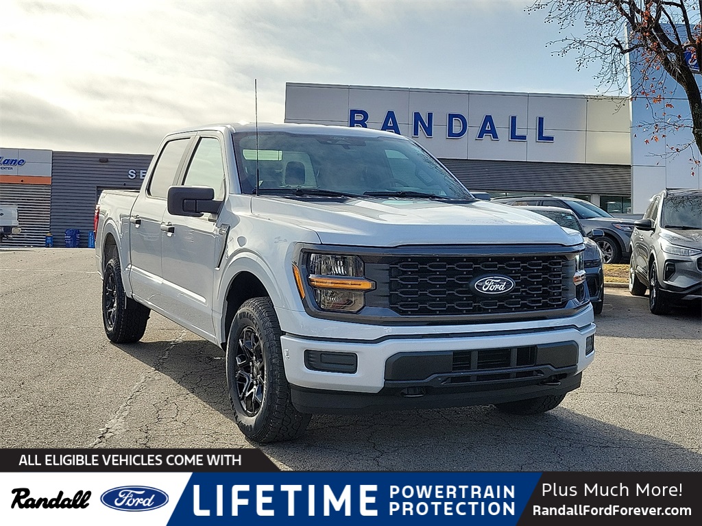2025 Ford F-150 STX's photo