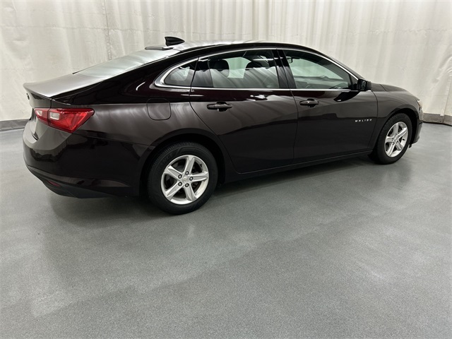 2021 Chevrolet Malibu LS photo 3