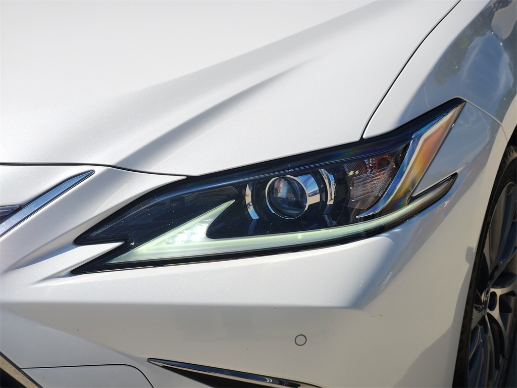 2019 Lexus ES 300h photo 9