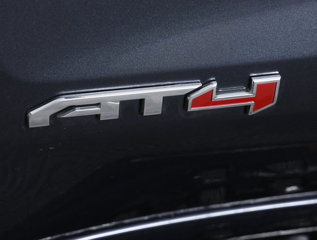 2021 Gmc Sierra 1500 AT4 photo 2