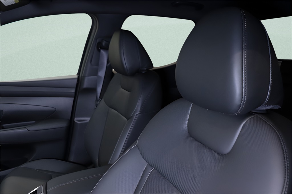 2025 Hyundai Santa Cruz SEL Activity photo 3