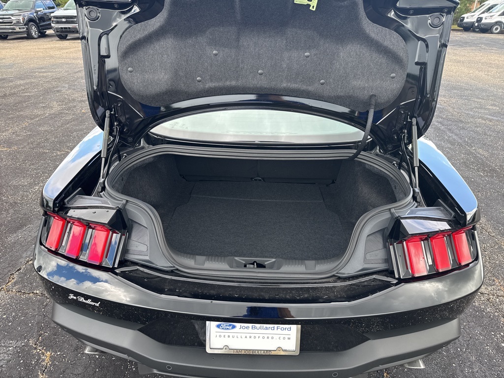 2025 Ford Mustang EcoBoost Premium photo 28
