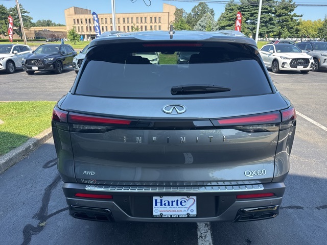 2023 Infiniti QX60 Luxe photo 4