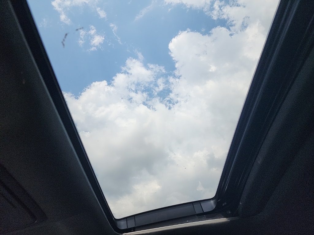 View 6