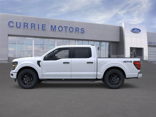2025 Ford F-150 STX photo 3
