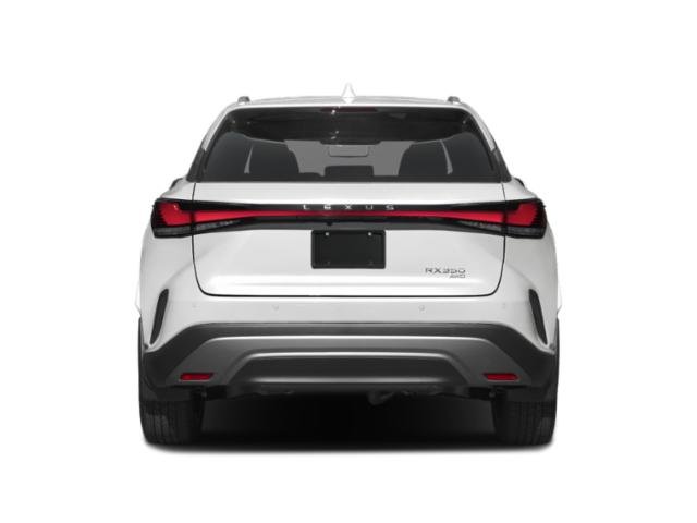 2025 Lexus RX 350 Luxury photo 8