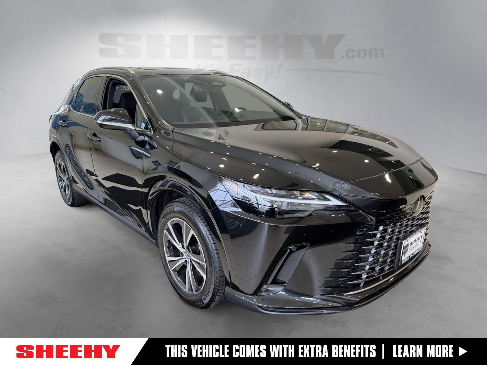 2023 Lexus RX 350's photo