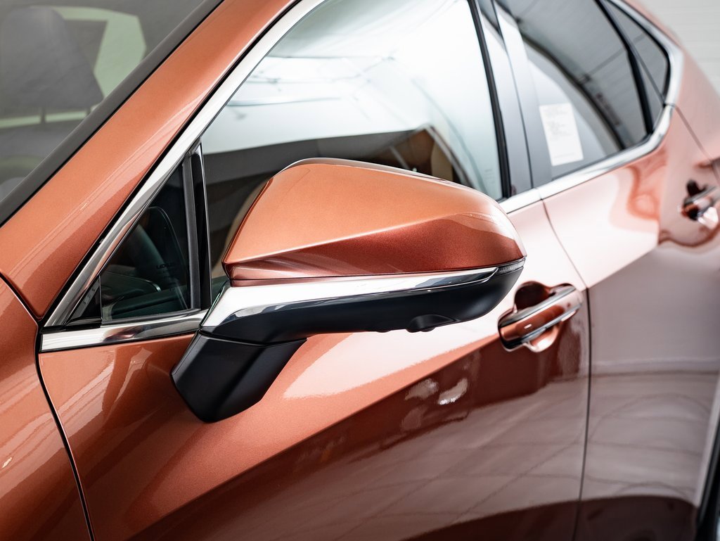 2025 Lexus NX 350 Premium photo 15