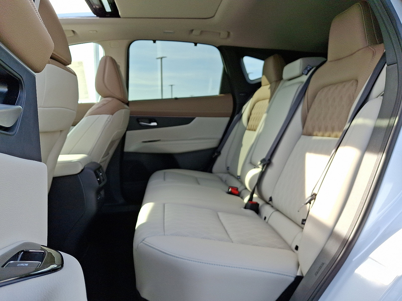 2025 Nissan Murano Platinum photo 5