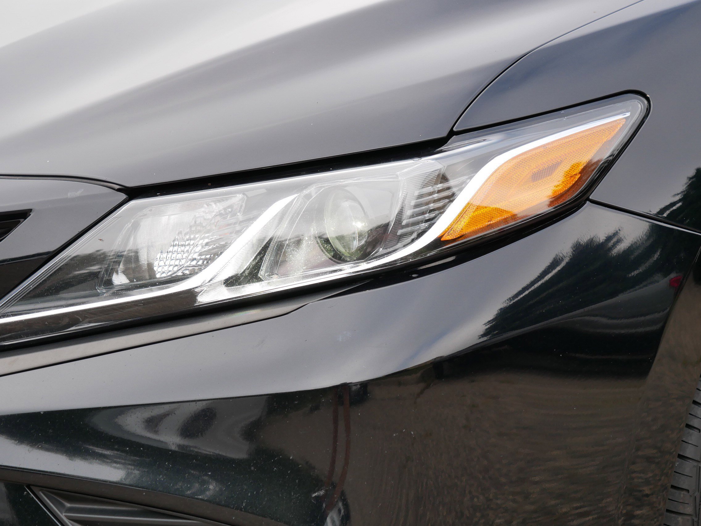 2019 Toyota Camry SE photo 15