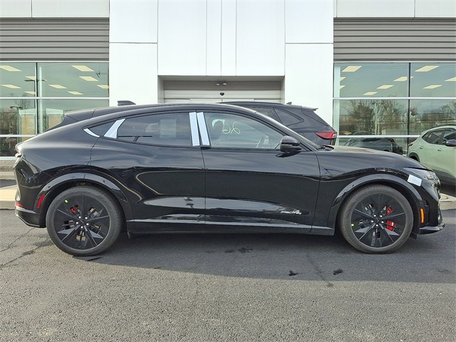 2025 Ford Mustang Mach-E GT AWD's photo