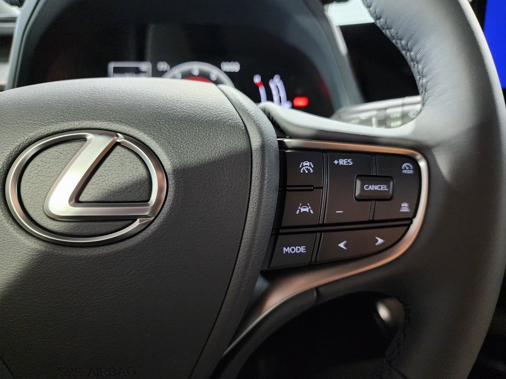 2025 Lexus UX photo 4