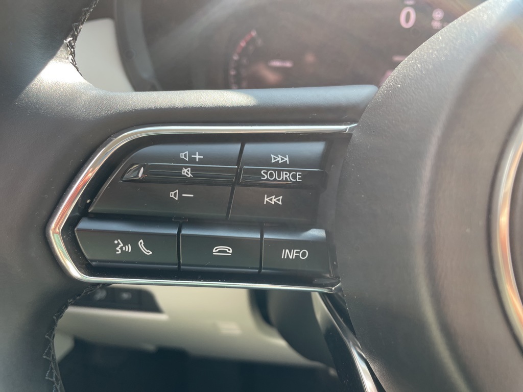 2025 Mazda CX-90 3.3 Turbo Premium Plus photo 16