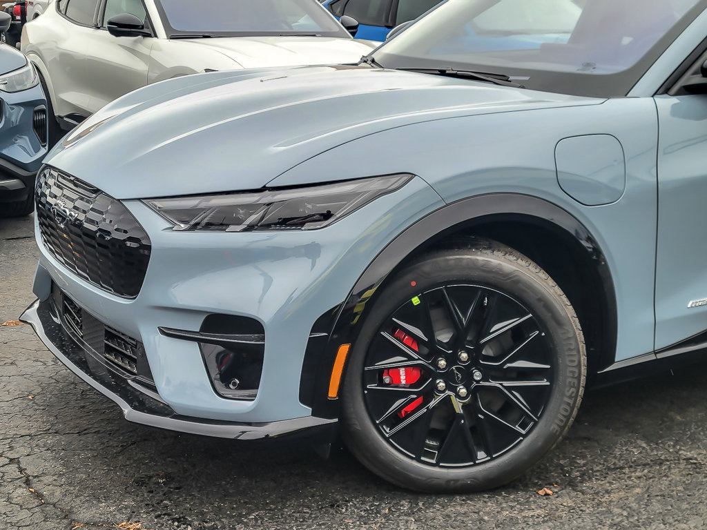 2025 Ford Mustang Mach-E Premium AWD's photo