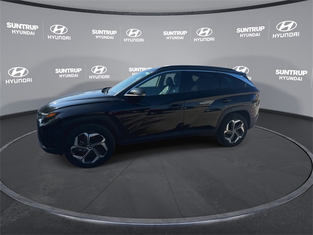 2024 Hyundai Tucson Limited photo 2