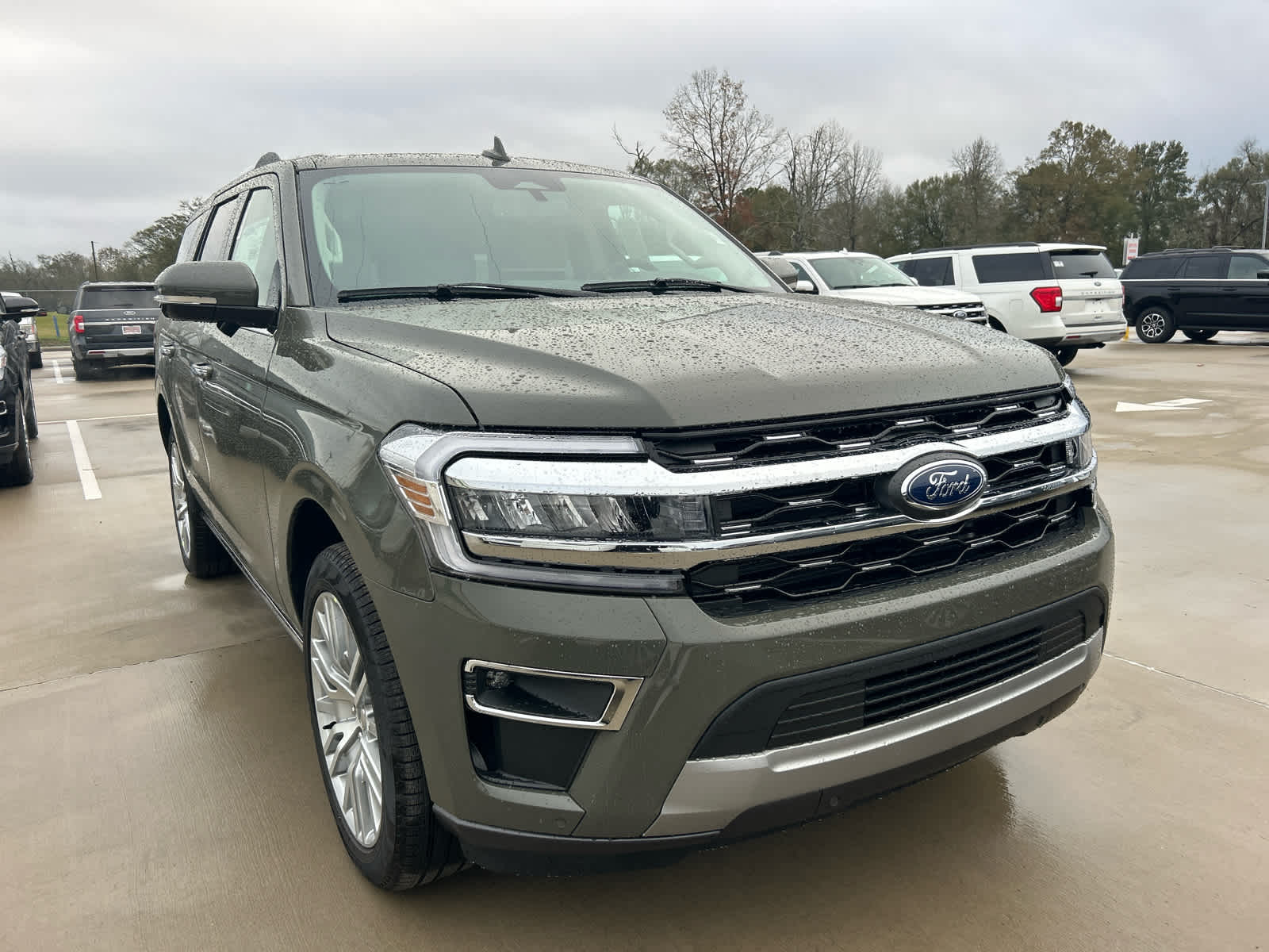 New 2024 Ford Expedition Limited Sport Utility in Acadiana #24T991 