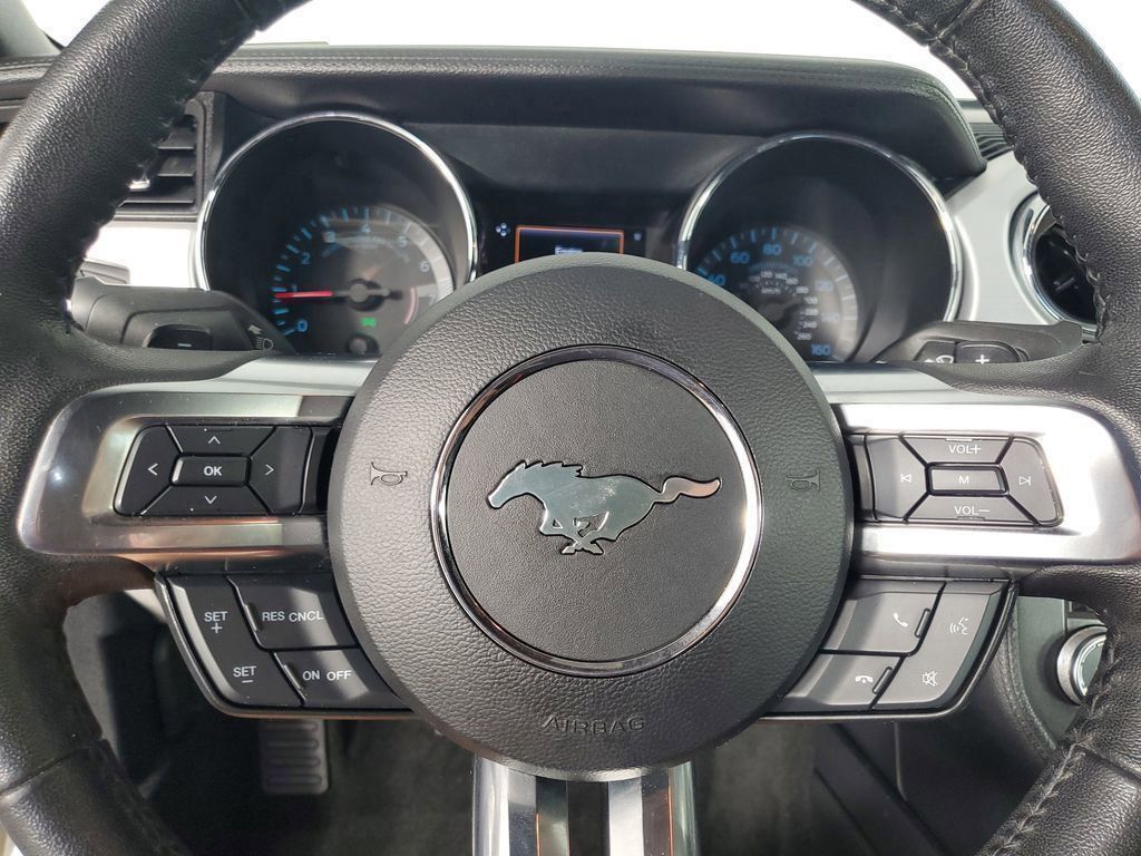 2017 Ford Mustang EcoBoost Premium photo 20