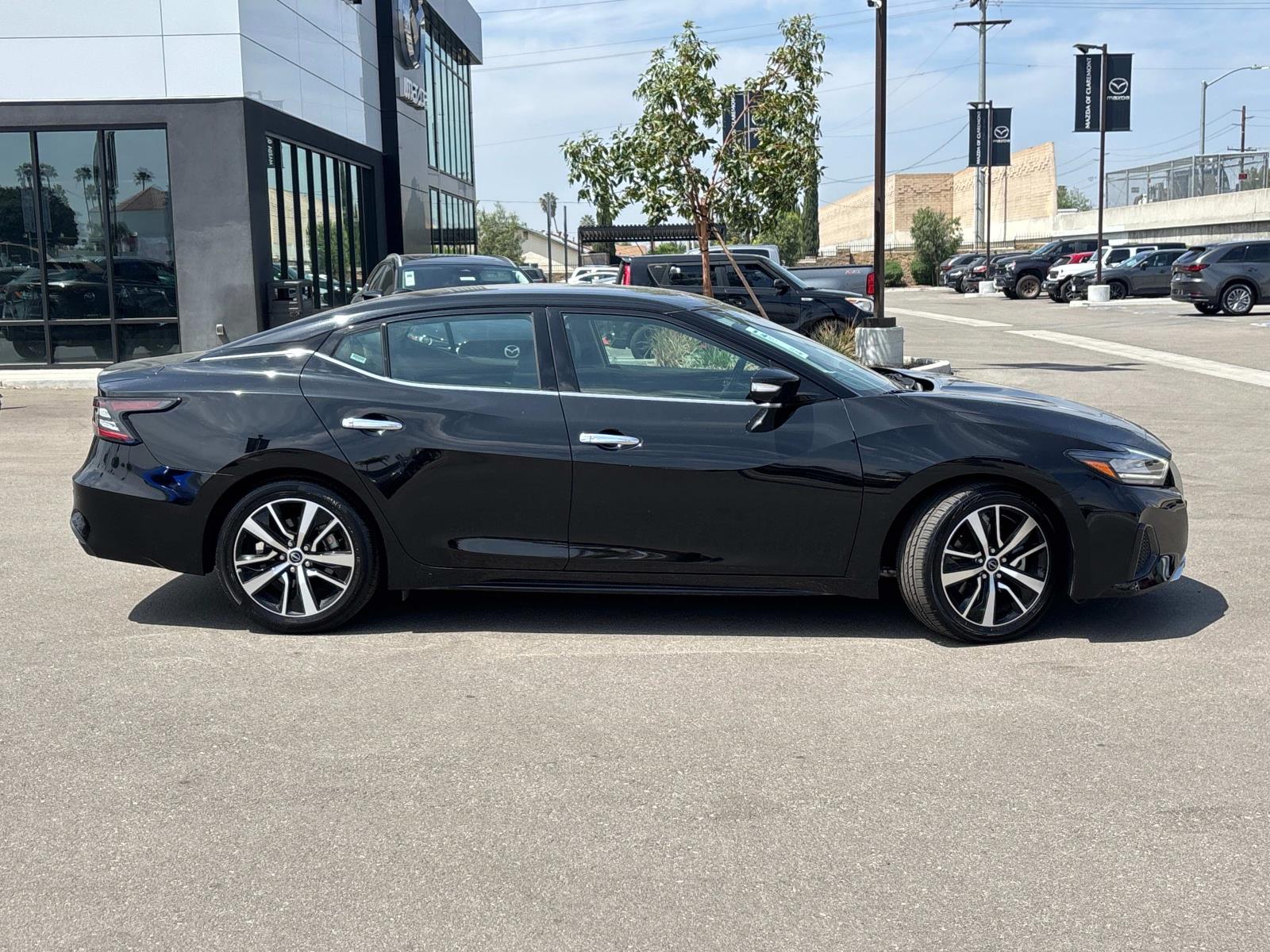 2023 Nissan Maxima SV photo 3