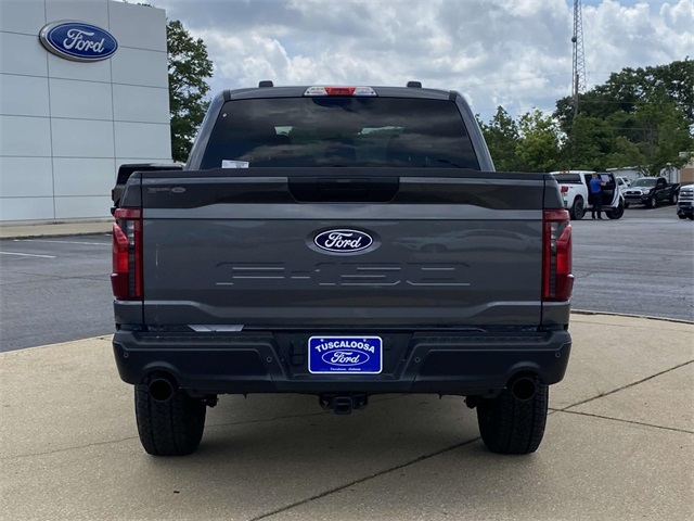 2025 Ford F-150 STX photo 5
