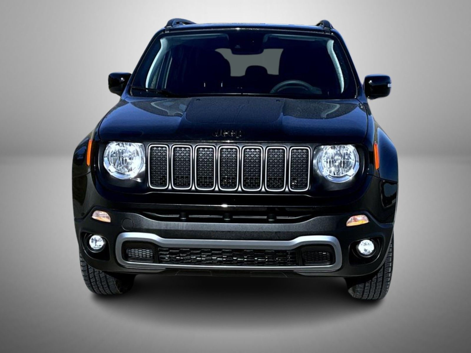 2023 Jeep Renegade Latitude Upland photo 2
