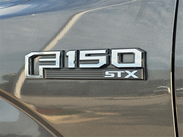2019 Ford F-150 XL photo 8