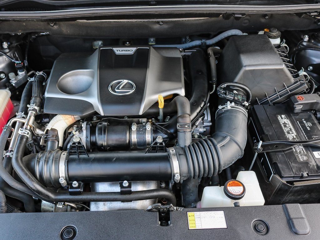 2016 Lexus NX 200t Luxury photo 28