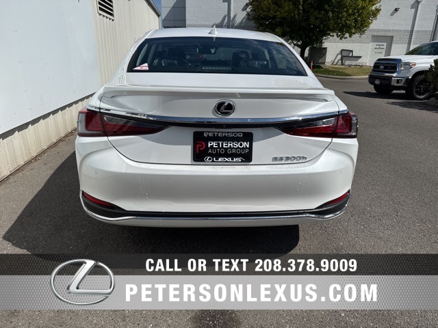 2025 Lexus ES 300h photo 2
