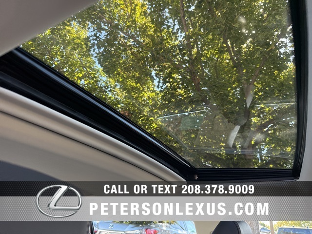 2025 Lexus ES 300h Luxury photo 12