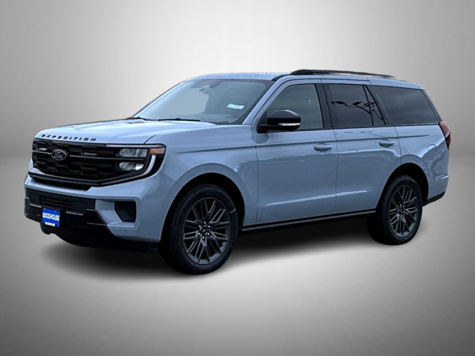 2025 Ford Expedition Platinum's photo